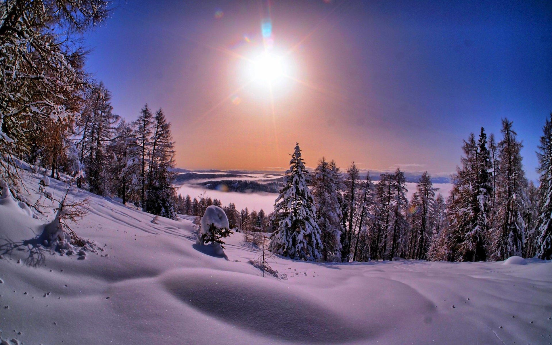 природа зима снег небо пейзаж зимние белый закат