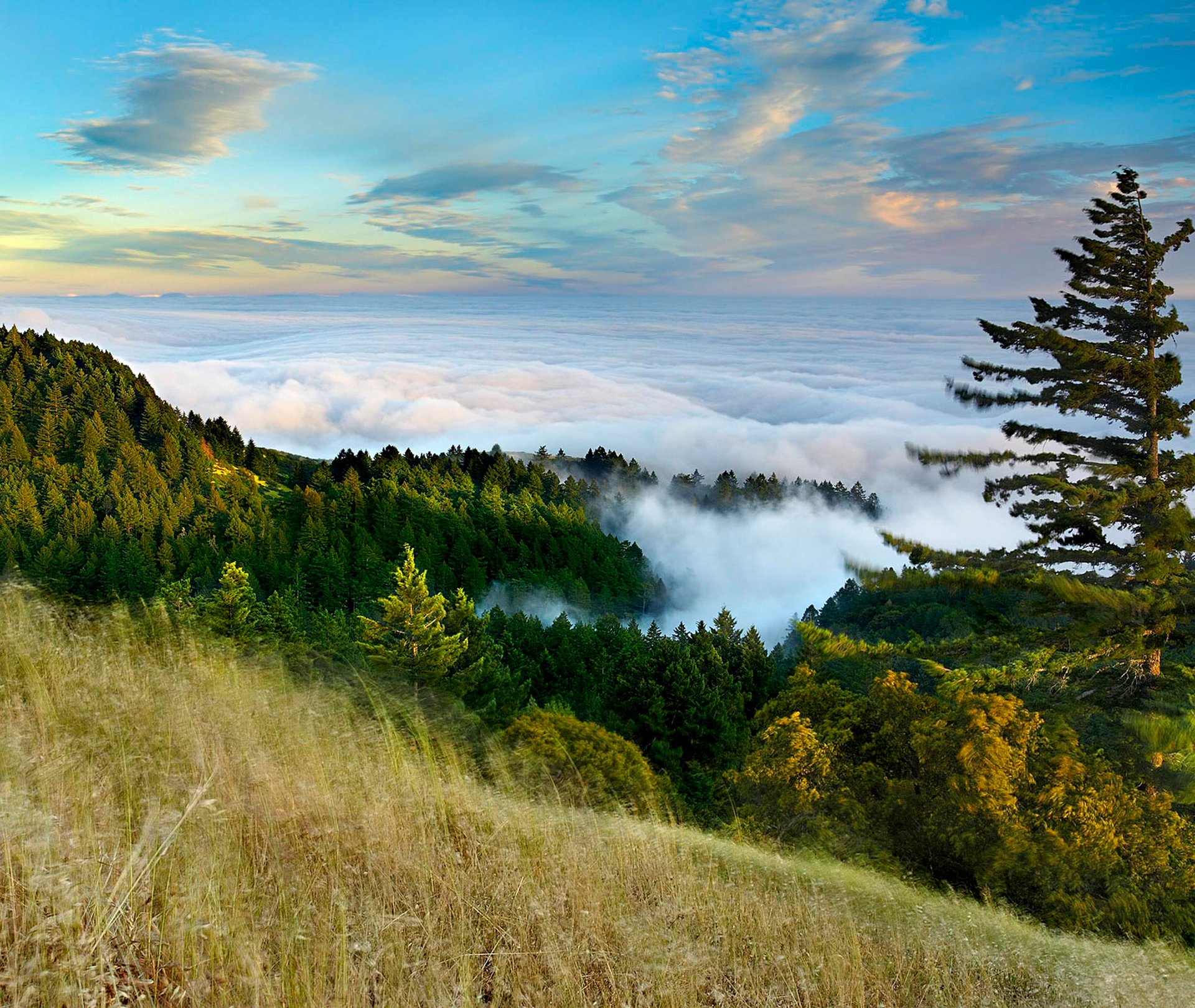 ciel nuages montagnes forêt pente brouillard