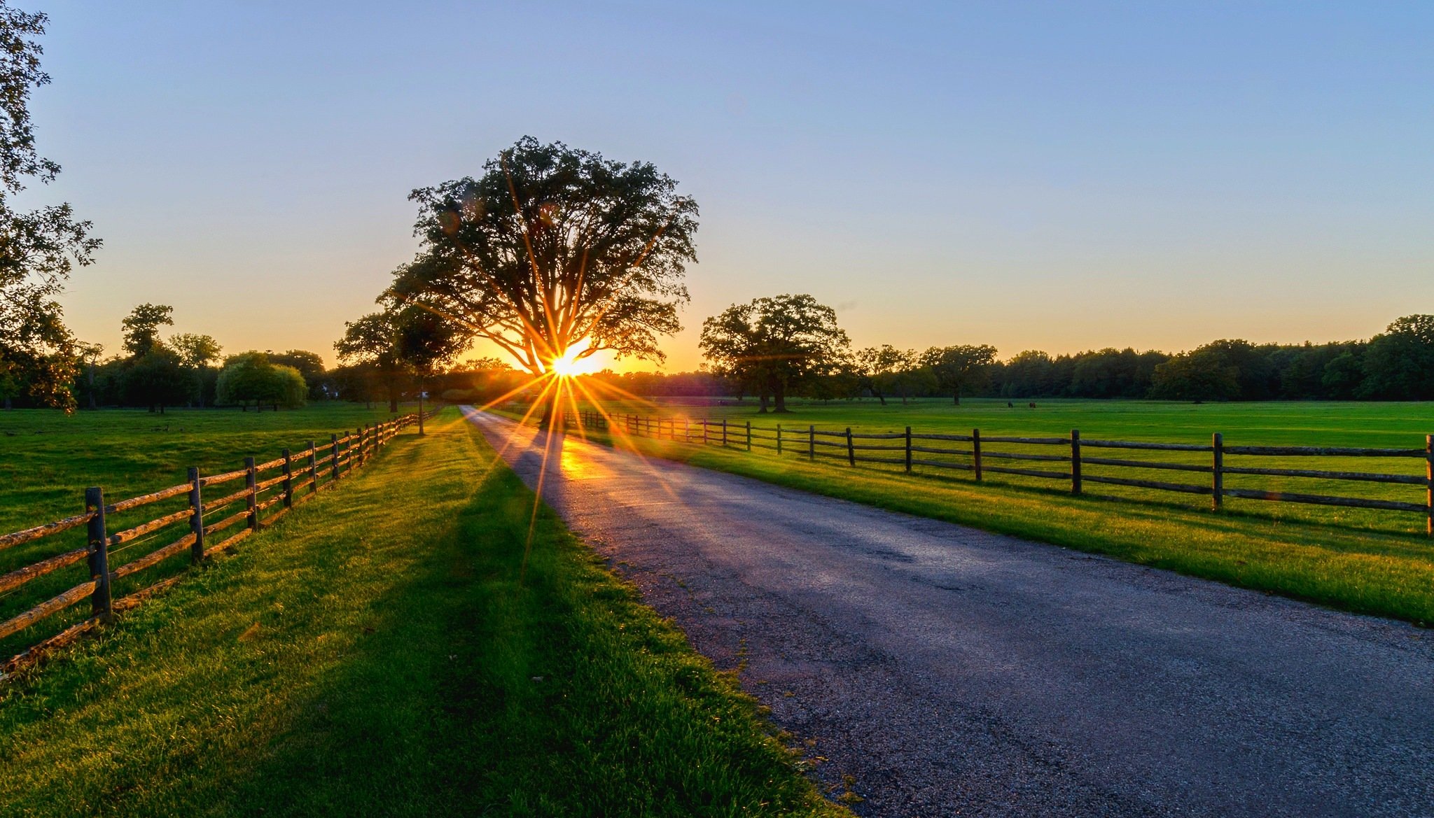 natur strahlen sonnenuntergang sonnenaufgang frühling wald park bäume straße zu fuß frühling