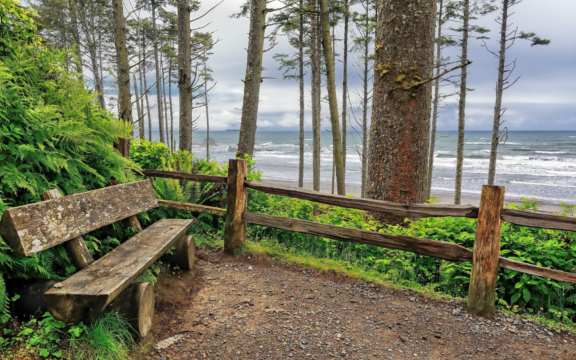 ruby beach bänke ozean wellen washington