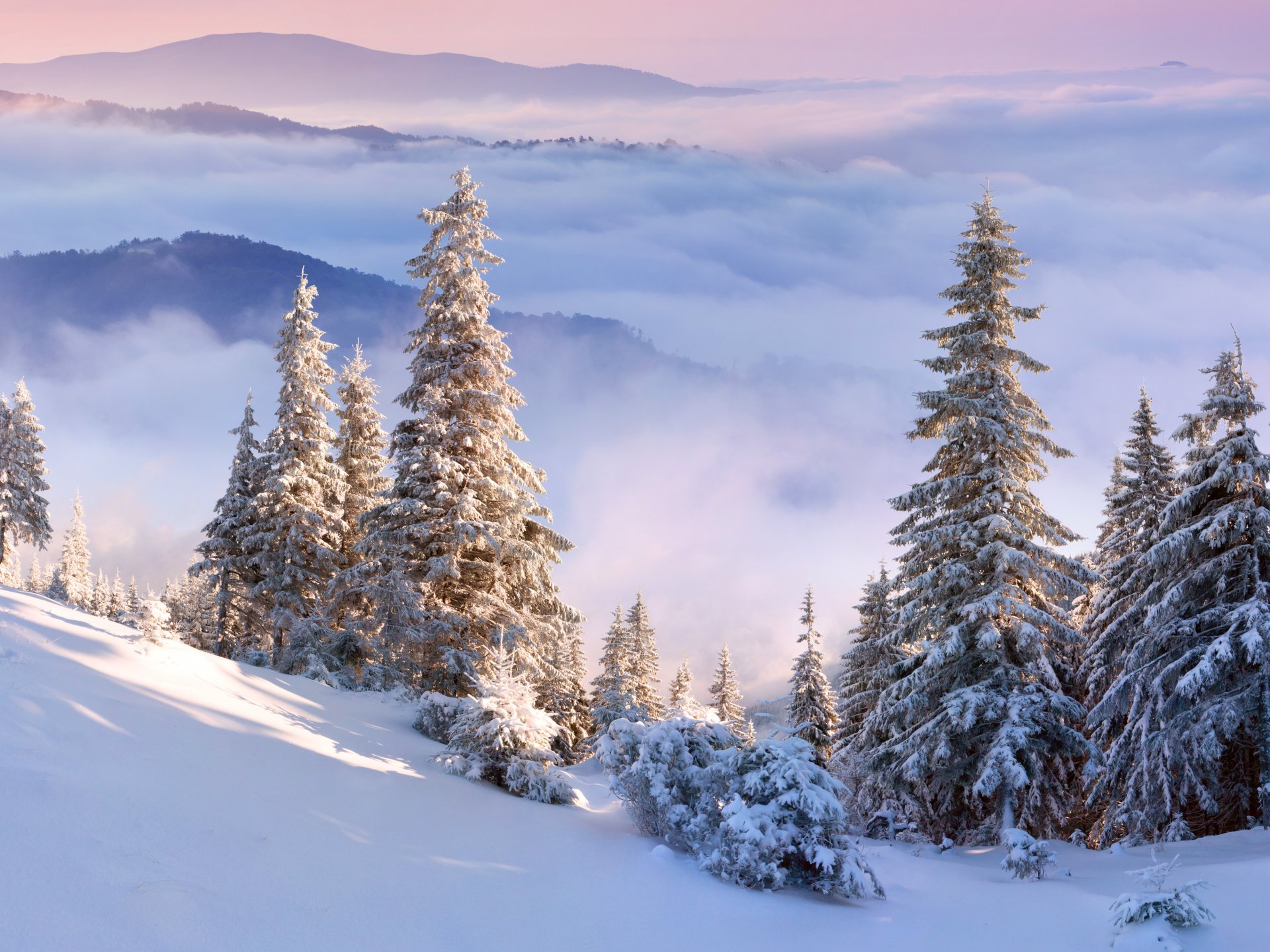 himmel wolken berge winter bäume schnee hang fichte