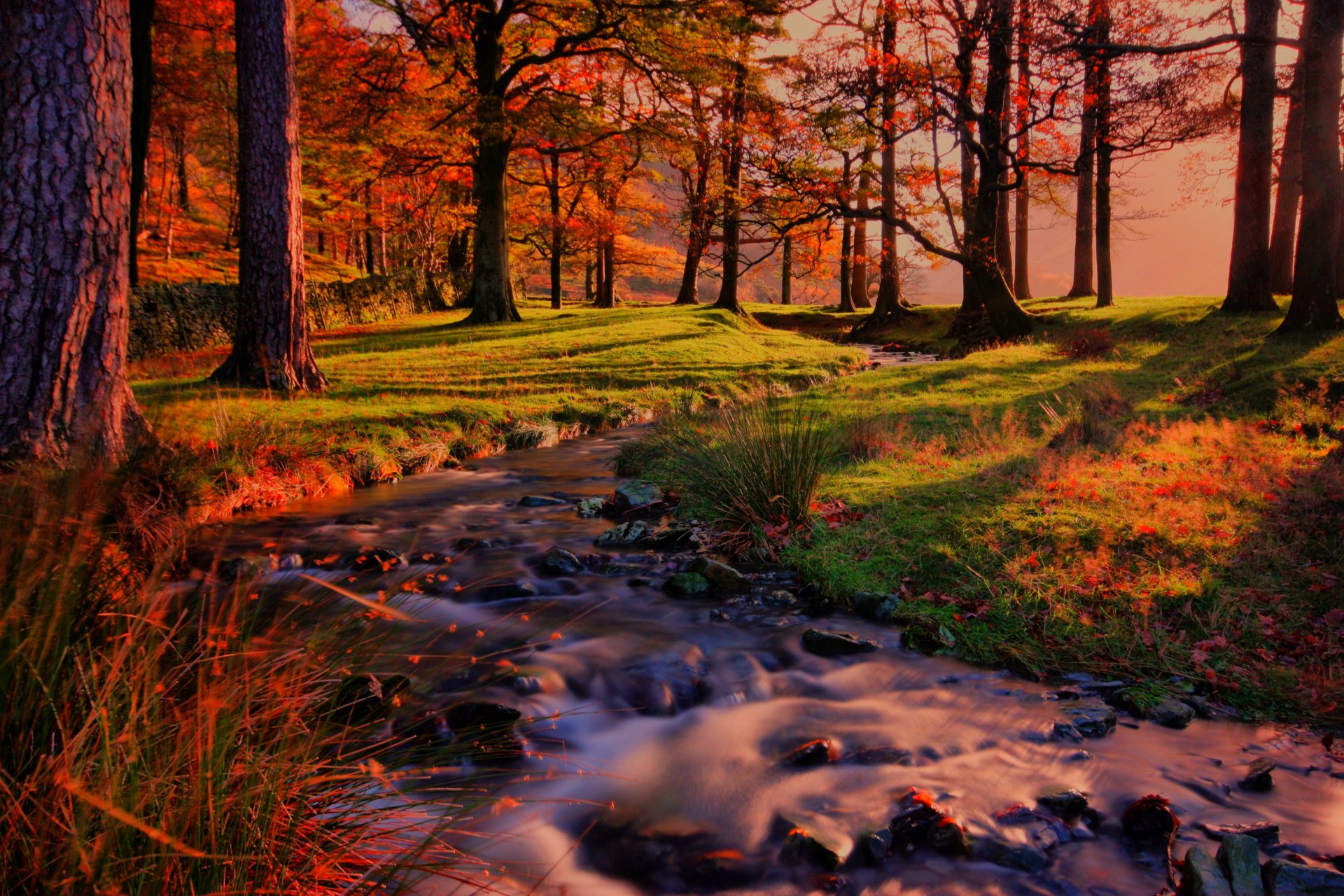 nature paysage coucher de soleil forêt arbres automne rivière automne vue