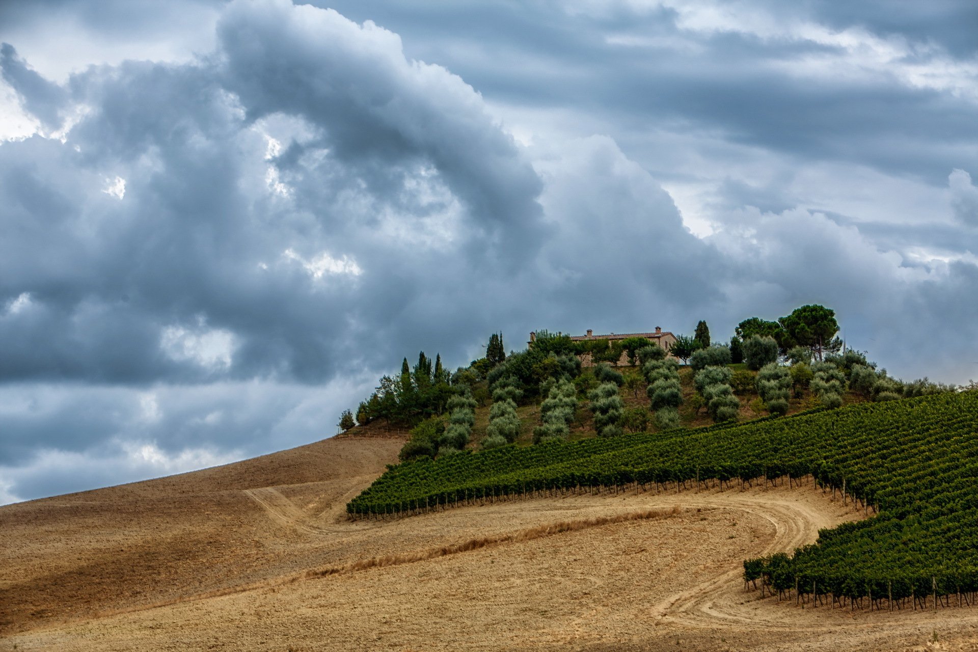 the field mountain landscape