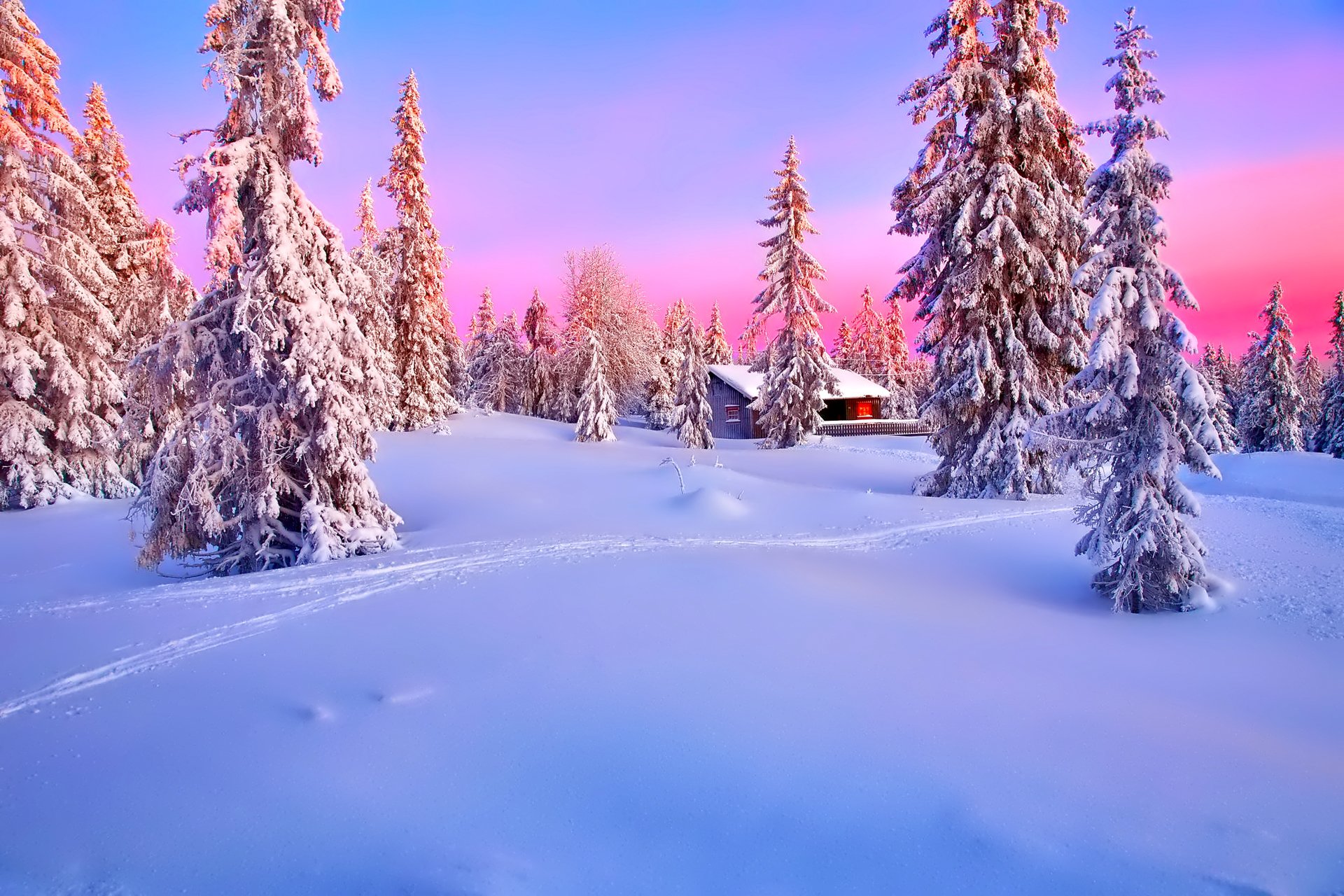 ciel coucher de soleil lueur hiver forêt sapin maison neige