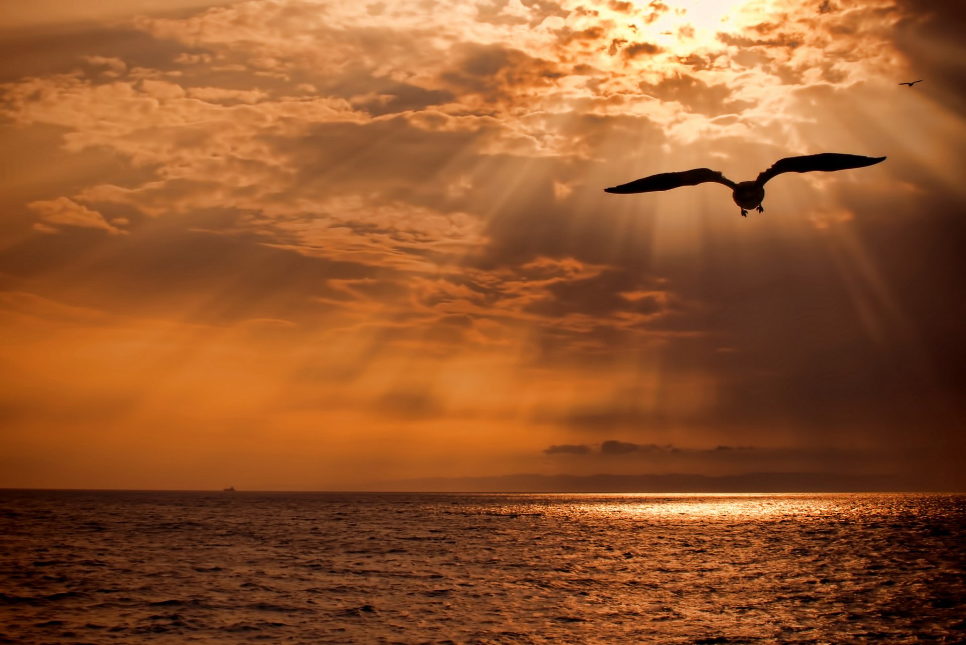 mare giapponese nuvole luce sole uccello