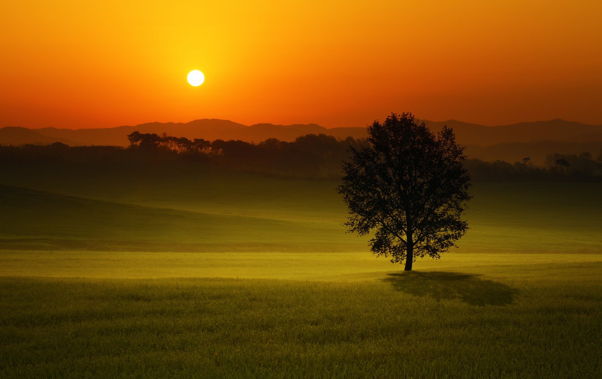 coucher de soleil champ arbre paysage