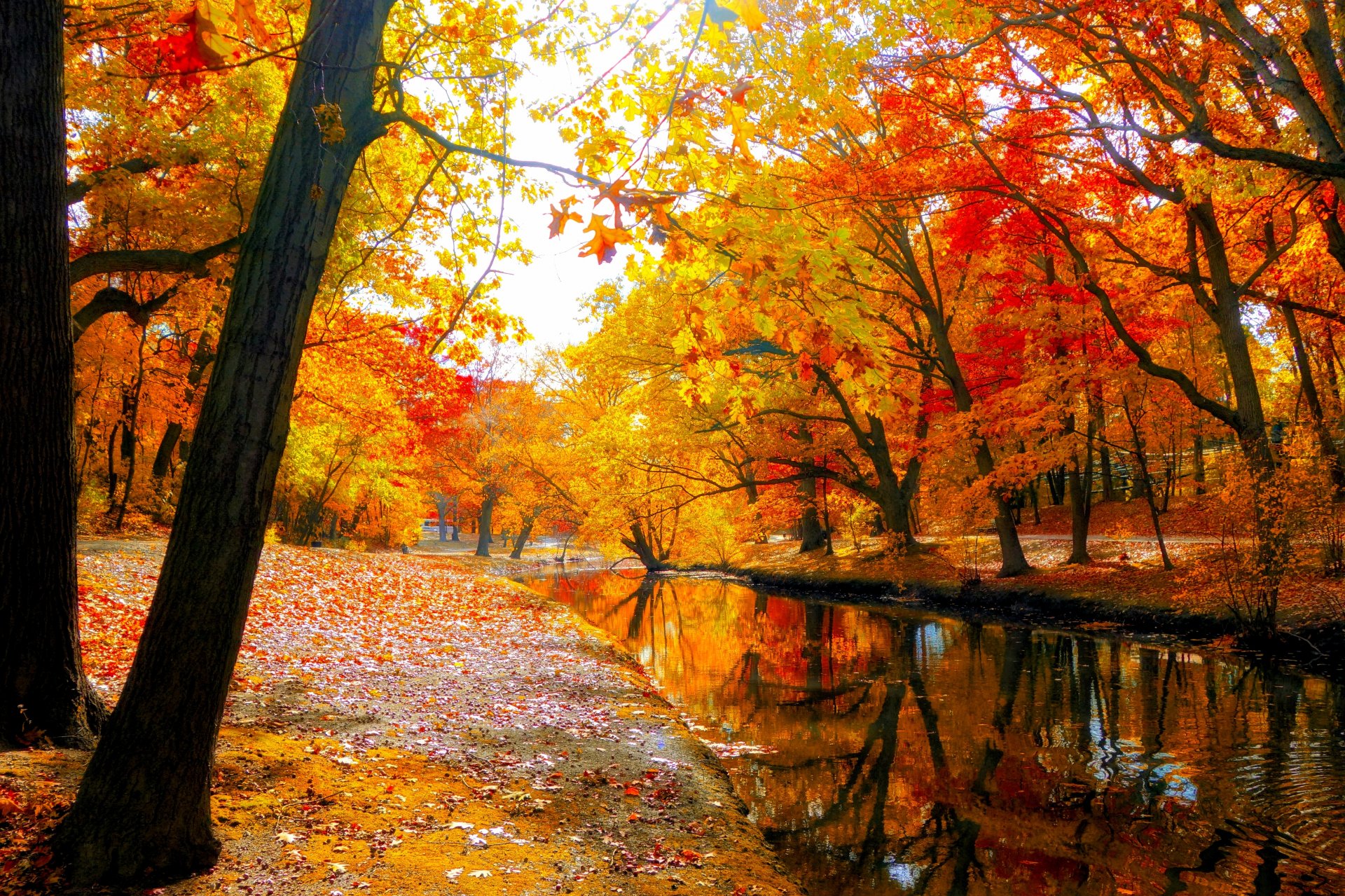 nature ciel rivière eau forêt parc arbres feuilles coloré automne automne couleurs marche montagnes