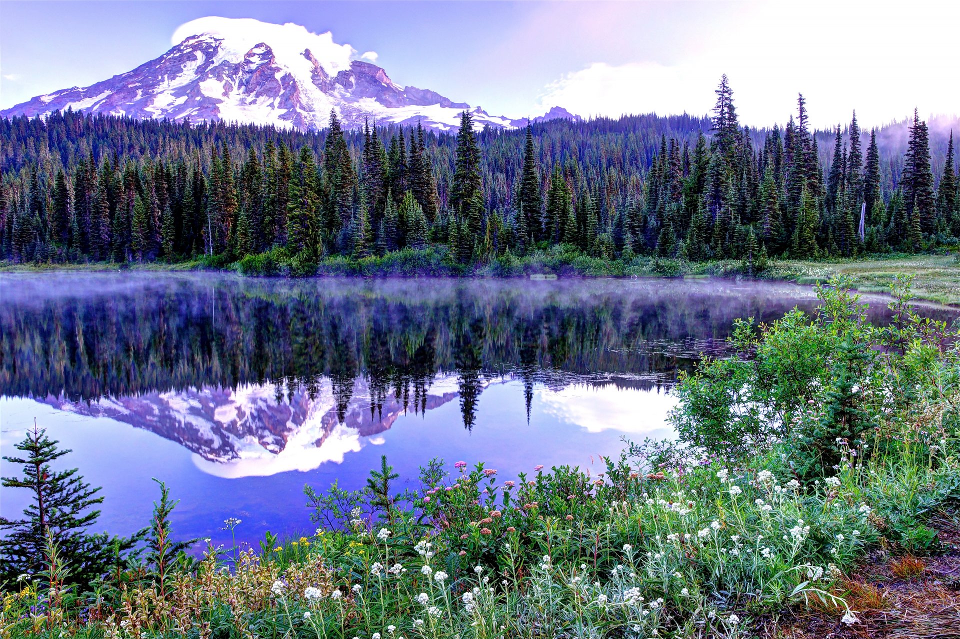 mount rainier national park united states sky spring tree mountain snow spruce summit lake flower