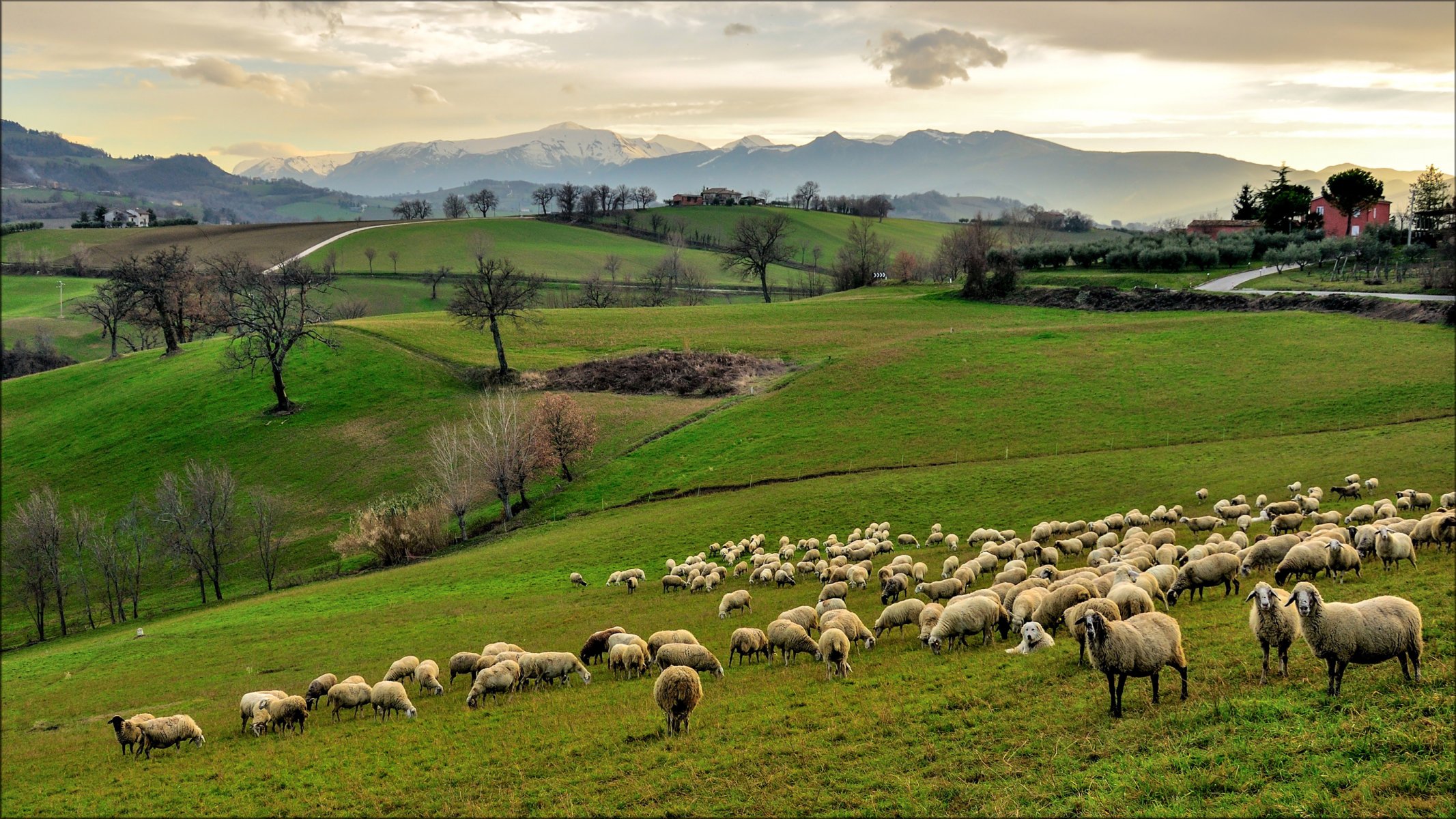 italie campanie ciel montagnes collines herbe champs arbres maison moutons otara