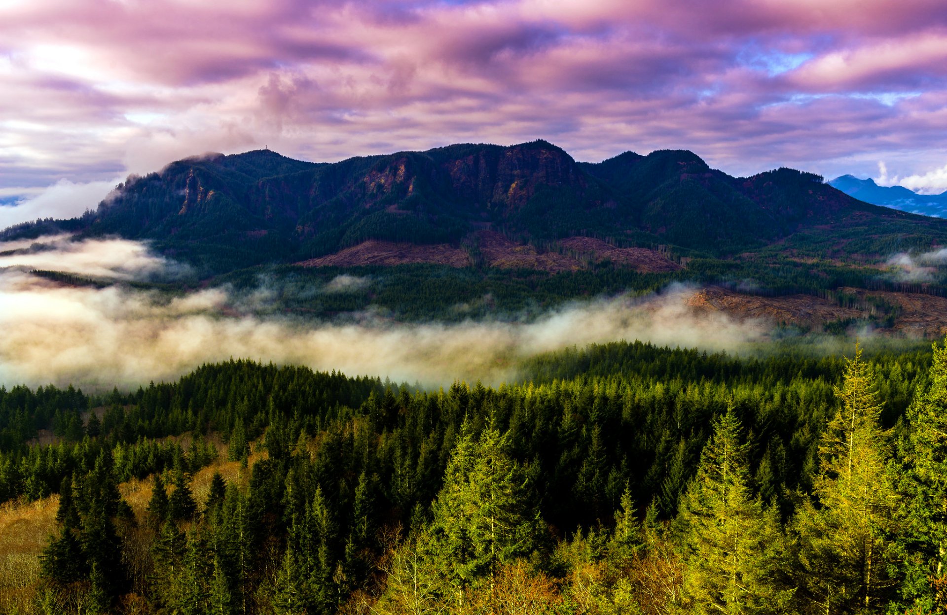 usa oregon berge nebel wald bäume landschaft