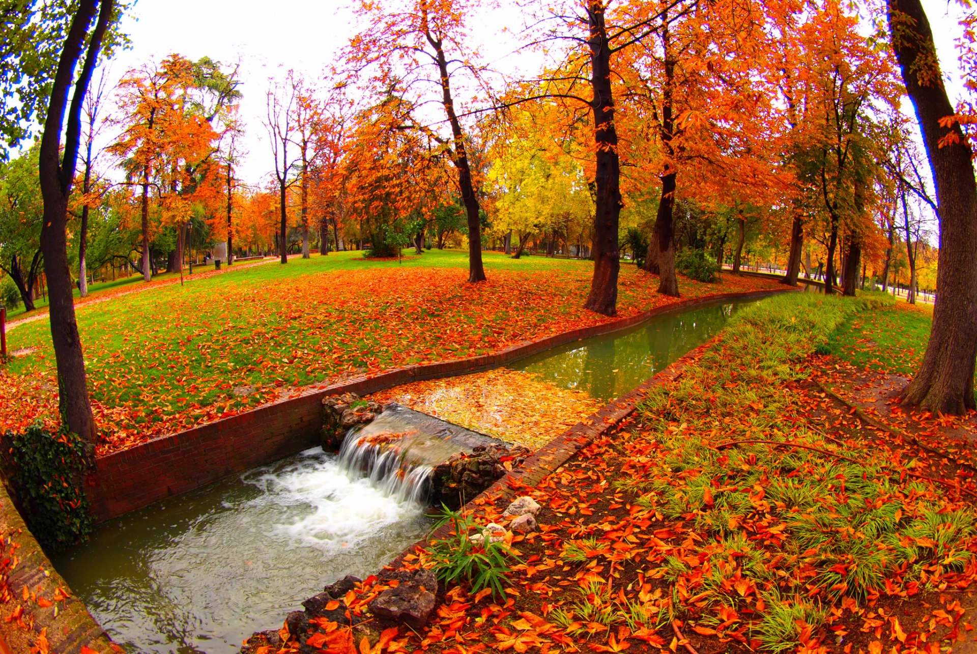 parque arroyo agua árboles otoño