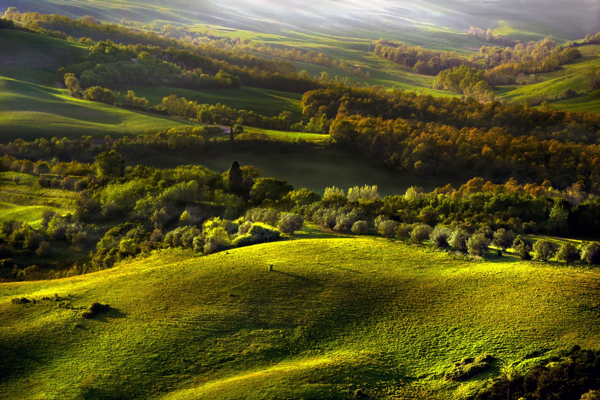 colline foresta autunno