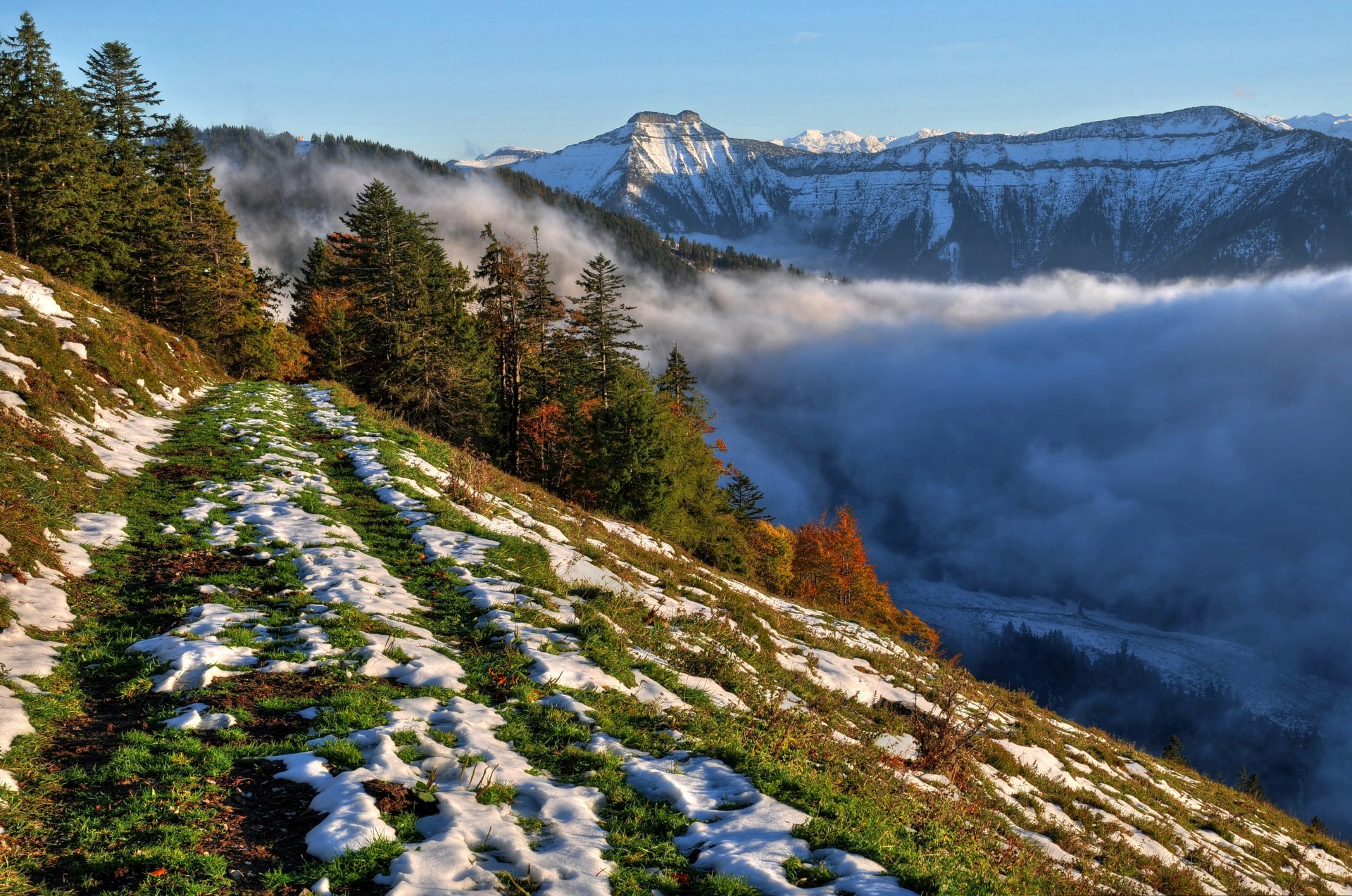 hang schnee bäume berge nebel himmel