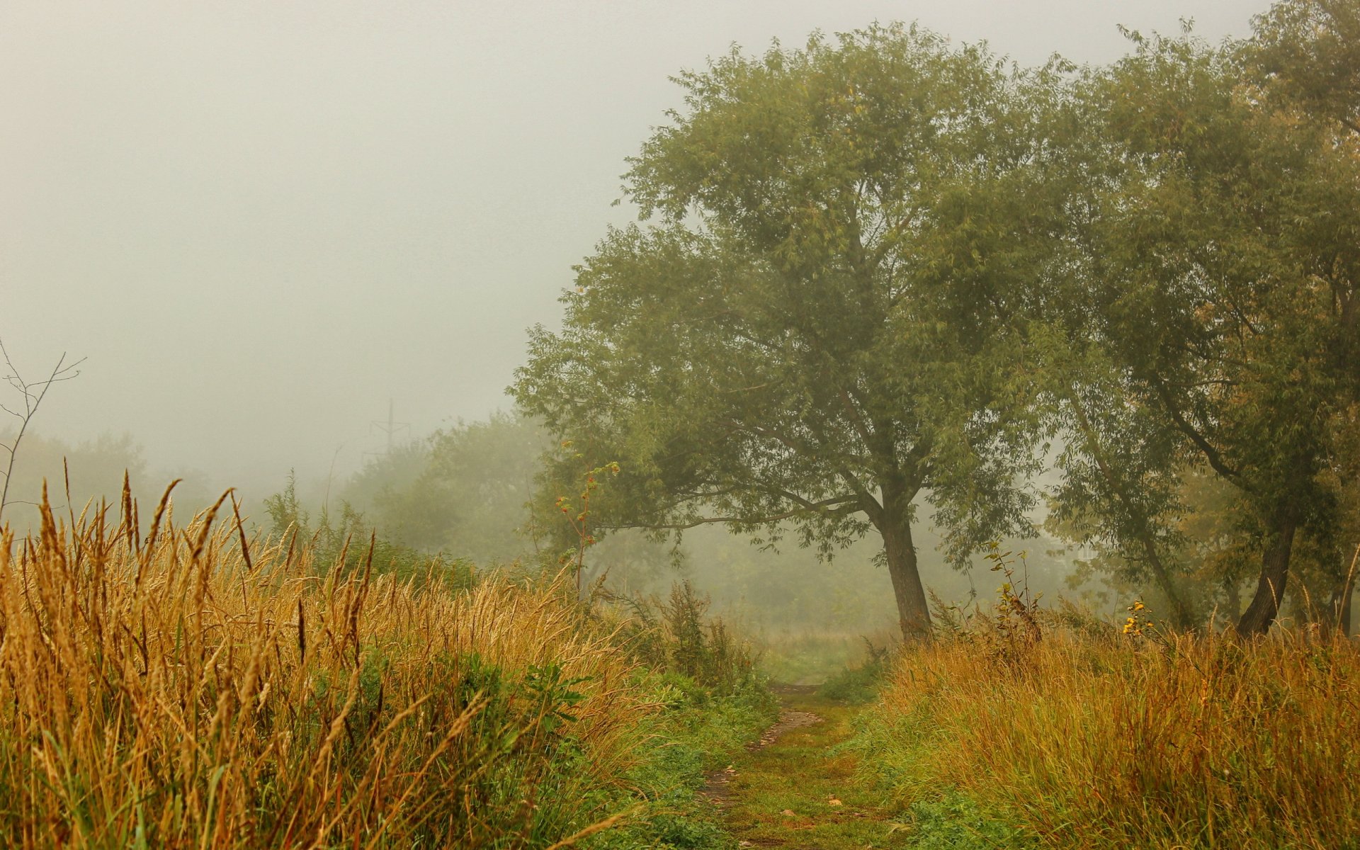 jesień krajobraz natura