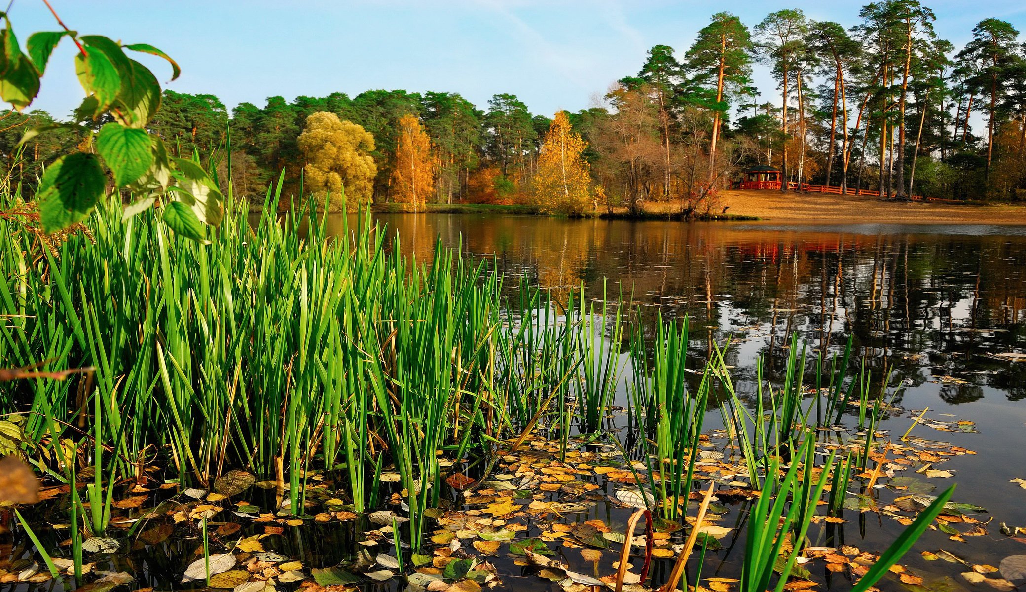 russia river park autumn moscow nature photo