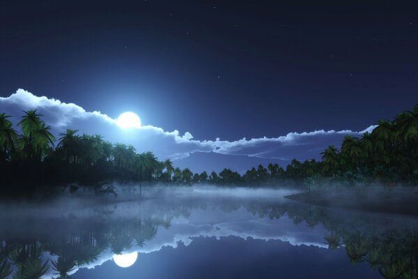 Sky, moon, clouds and palm trees