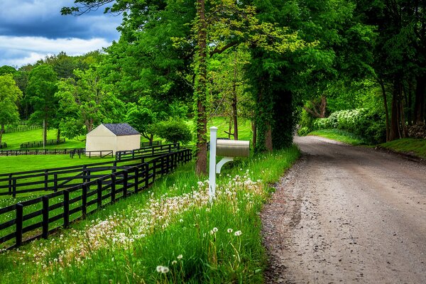 Route de campagne à travers la forêt, à côté de la maison