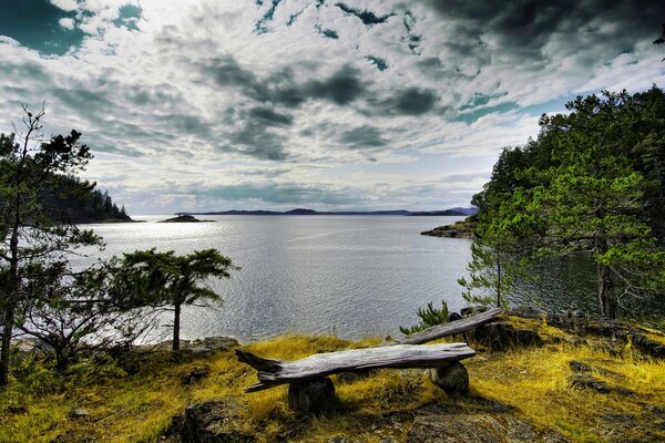 View from the shore to the river in the forest