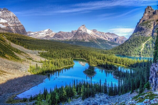 Lago tranquillo lungo boschi e scogliere