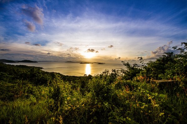 Morning sunrise on the bay of the island