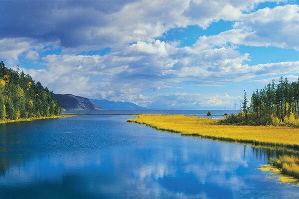 Im Herbst ist die perfekte Kombination aus den Farben der Natur:Wolken und gelbes Gras, Fluss und Bäume