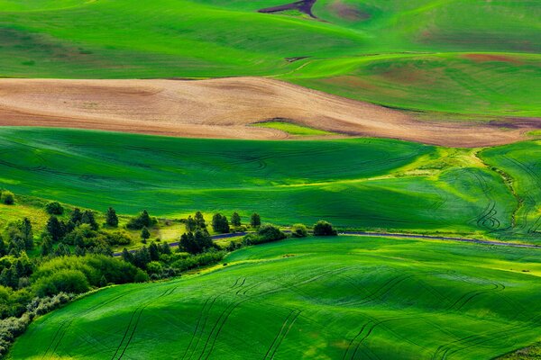 Colline verdi frastagliate dalle strade