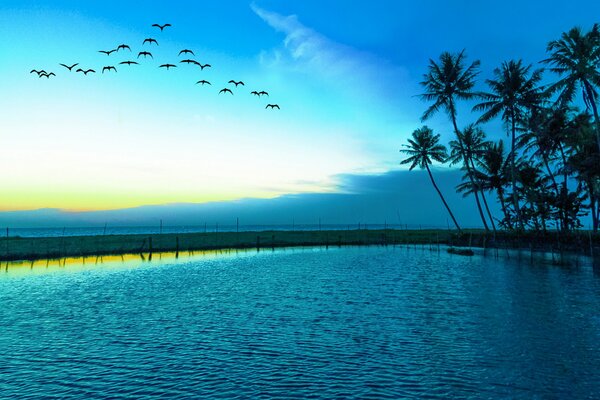 Mar azul con gaviotas en el cielo