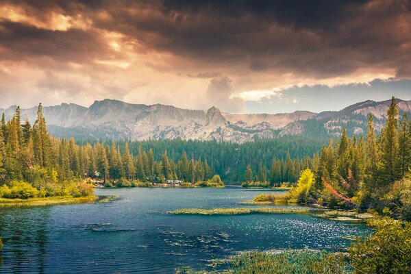 Immagine del paesaggio della natura al tramonto