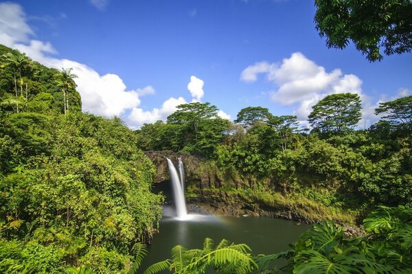 Waterfall in a densely wooded area