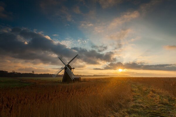 Moulin dans un champ de blé