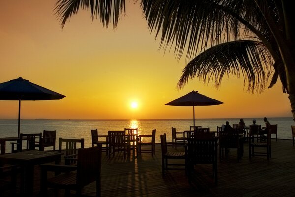 Les gens sont assis à une table à côté d un palmier au coucher du soleil