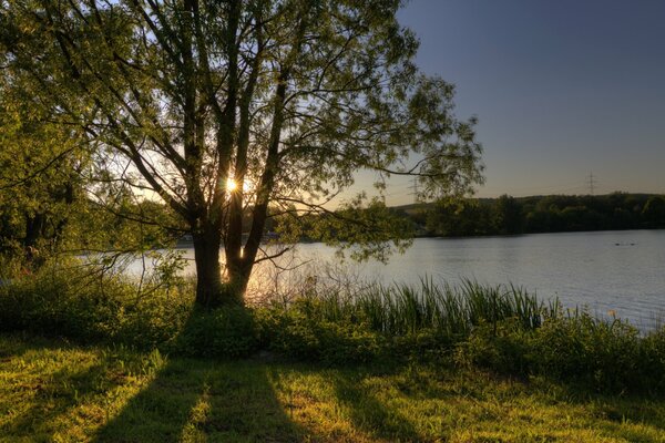 Aube sur le lac avec les rayons lumineux du soleil