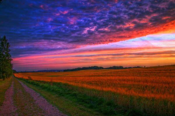 The outgoing road in the rays of sunset