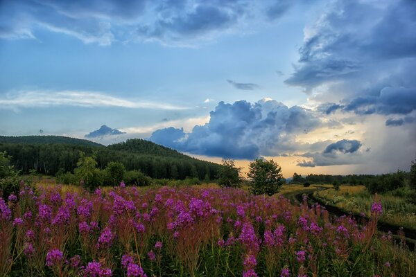 Paisajes de la naturaleza. Las nubes celestes y el campo