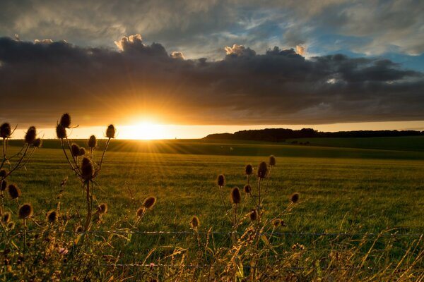 Il campo accompagna il tramonto