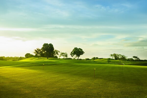 Безмятежное чистое поле для гольфа
