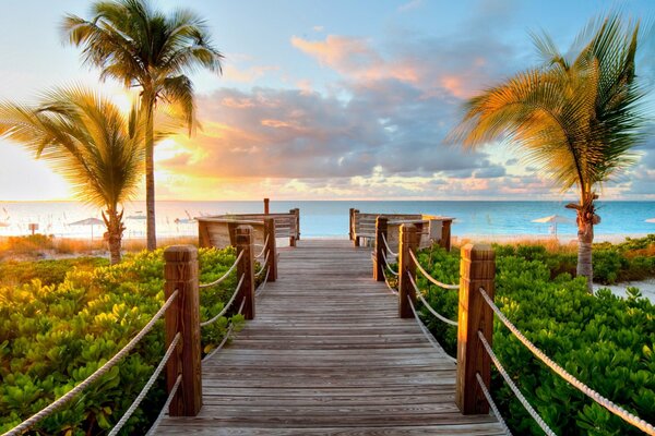 Wooden, strong bridge to the sea