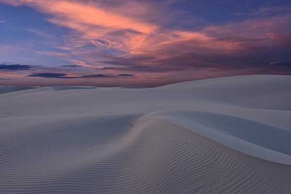 Dunes in the New Mexico desert