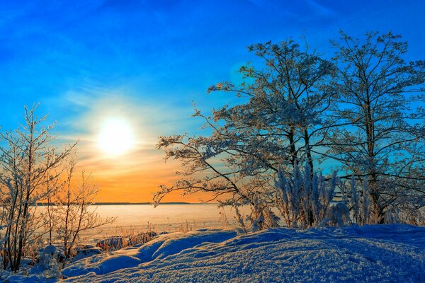 Paisaje soleado de invierno en el bosque