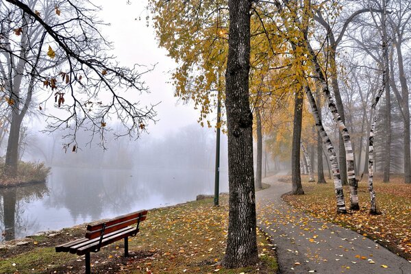 Samotna ławka na mglistym stawie
