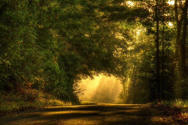 L aube est sur la route. Paysage du matin