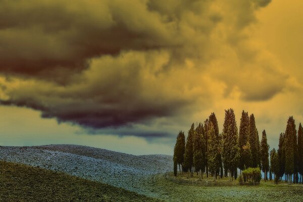 Cielo nublado, hermosos árboles