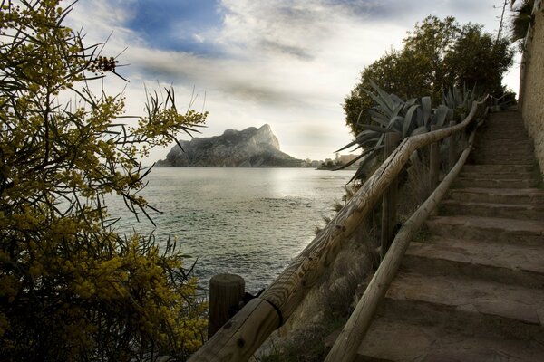 Blick auf die Bucht und die blühende Memose von einer Treppe in der Nähe einer Klippe