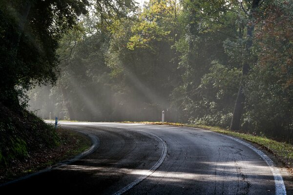 Morning comes the road running forward with a smooth turn