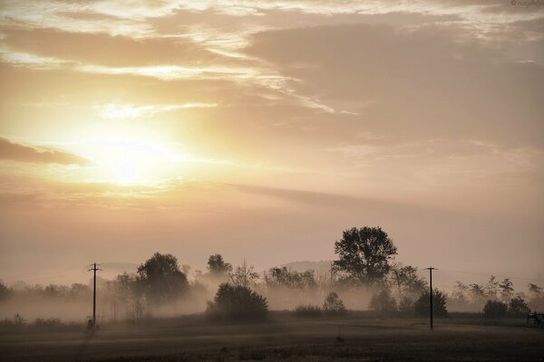 Morning, fog, sunset