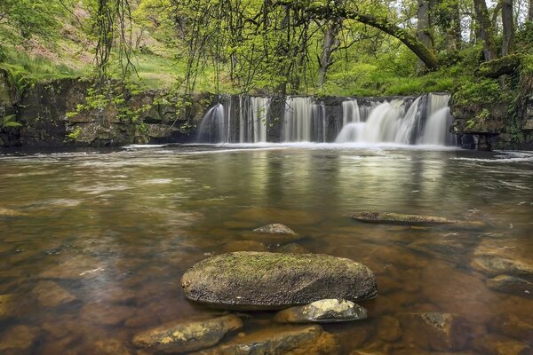 A wild corner among a waterfall and forests