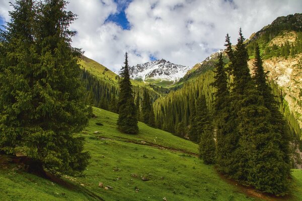 Paesaggio sullo sfondo delle montagne in Kirghizistan