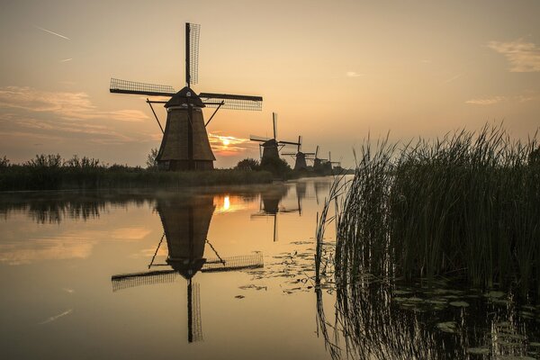 Mühlen auf dem Sonnenaufgang. Ein Fluss in Holland