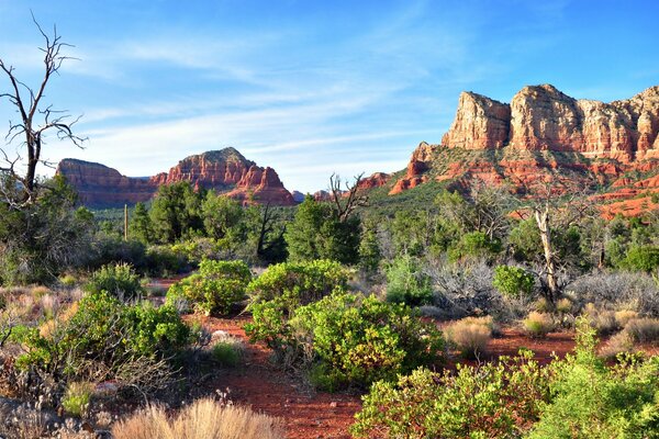 Felsen in der Arizona-Wüste