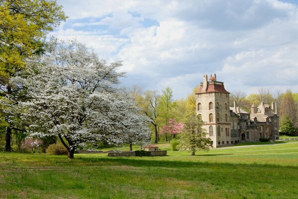 Wiosna w Pensylwanii. Kwitnące drzewa w pobliżu zamku